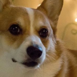 Meet your Posher, Valerie